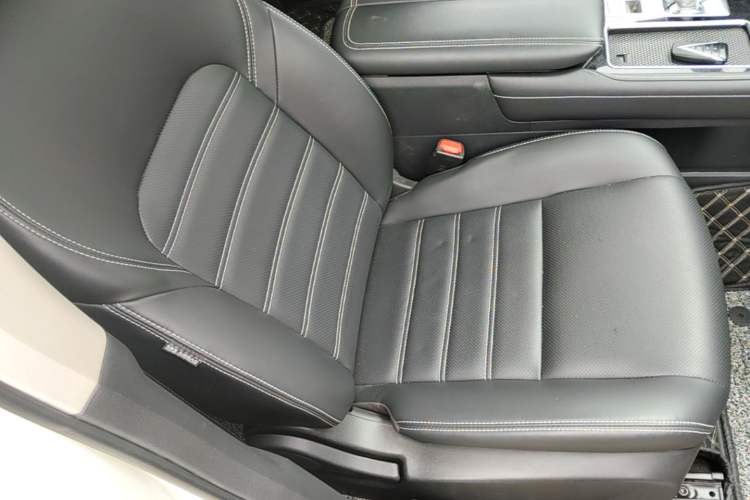 Used Venucia Star 2020 260T Automatic XingShang Edition Right Front Seat