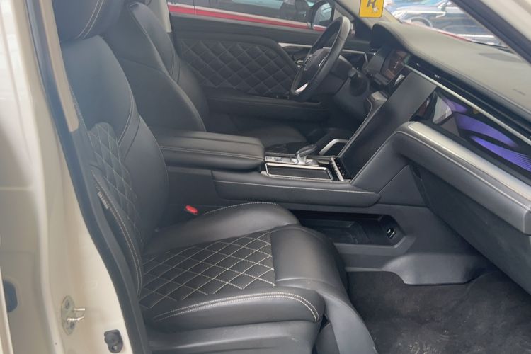 Used Venucia Star 2020 260T Automatic 48V Mild Hybrid Turbocharged Starry Edition Right Front Seat