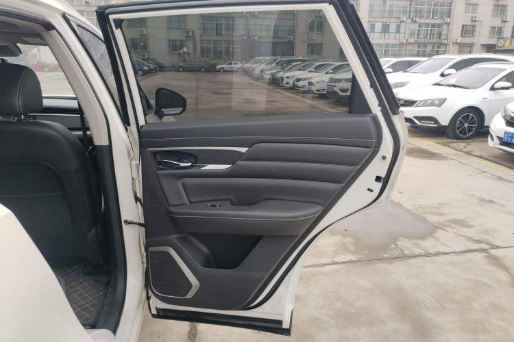 Used Venucia Star 2020 260T Automatic 48V Mild Hybrid Turbocharged Star Edition Right Rear Door Interior