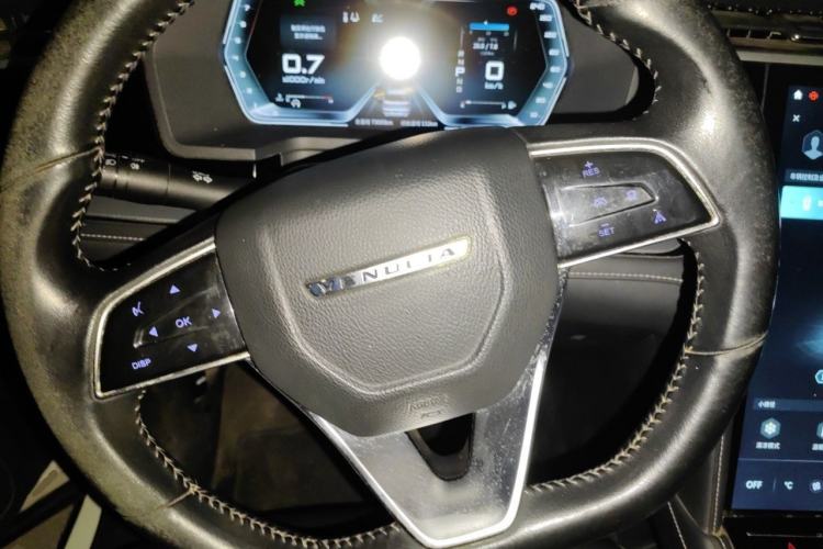 Used Venucia Star 2020 260T Automatic 48V Mild Hybrid Turbocharged Star Edition Steering Wheel