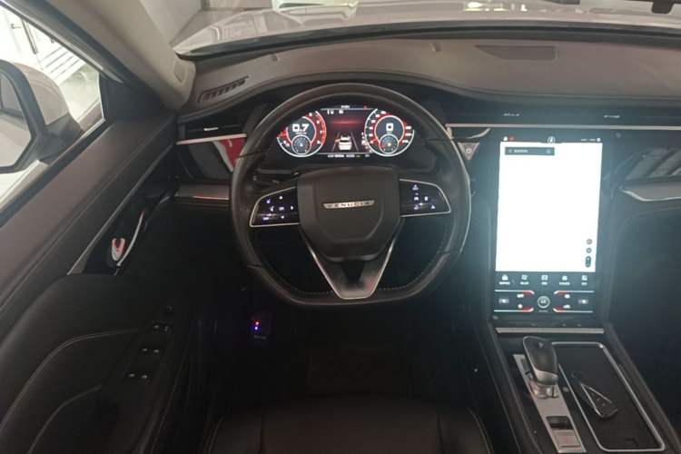 Used Venucia Star 2020 260T Automatic 48V Mild Hybrid Turbocharged Star Edition Steering Wheel