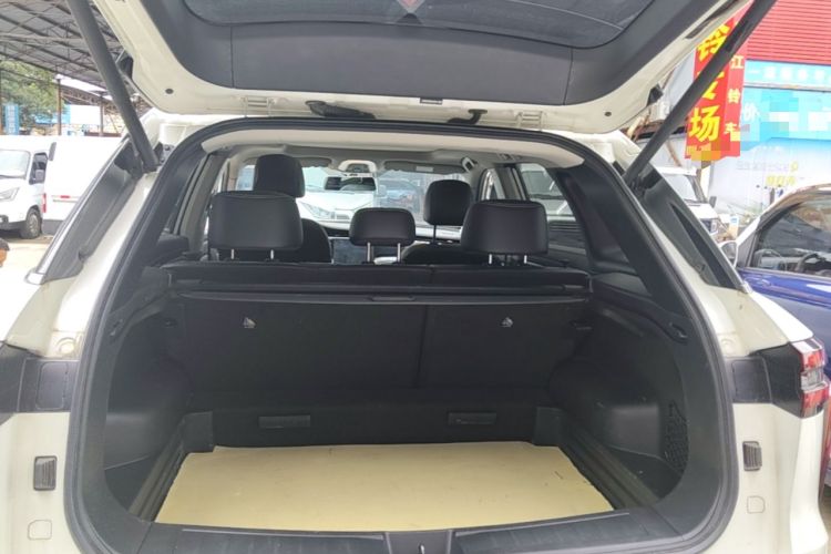 Used Venucia Star 2020 260T Automatic XingShang Edition Trunk