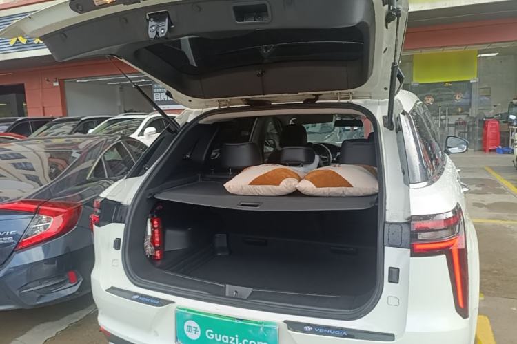 Used Venucia Star 2020 260T Automatic XingShang Edition Trunk