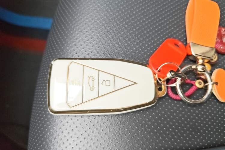 Used Venucia Star 2020 260T Automatic 48V Mild Hybrid Turbocharged Star Edition Vehicle Key