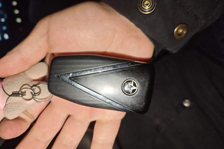 Used Venucia Star 2020 260T Automatic XingShang Edition Vehicle Key