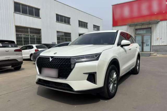 Used Venucia Star 2020 260T Automatic XingShang Edition