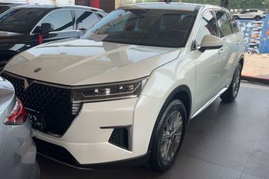 Used Venucia Star 2020 260T Automatic XingShang Edition