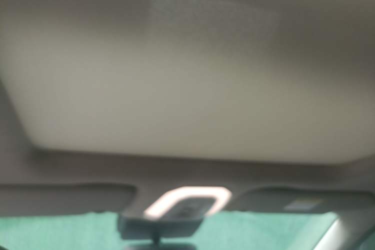 Used Venucia Star 2021 260T Automatic 48V Mild Hybrid Turbocharged Star Achieve Edition Headliner
