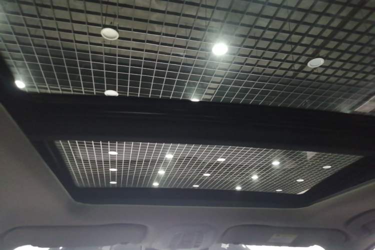 Used Venucia Star 2021 260T Automatic 48V Mild Hybrid Turbocharged Star曜 Edition Headliner