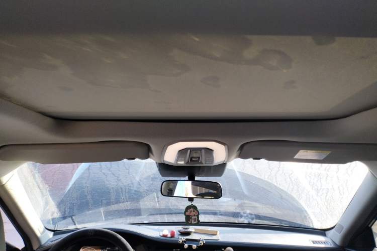 Used Venucia Star 2021 260T Automatic 48V Mild Hybrid Turbocharged Star曜 Edition Headliner