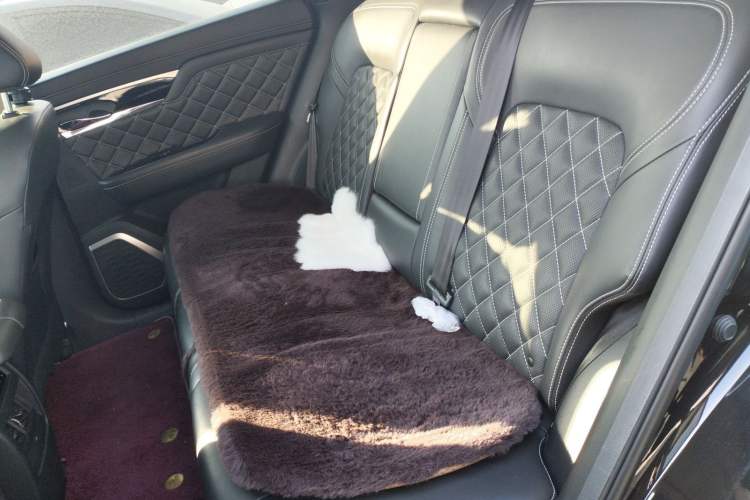 Used Venucia Star 2021 260T Automatic 48V Mild Hybrid Turbocharged Star曜 Edition Left Rear Seat