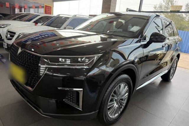 Used Venucia Star 2021 260T Automatic Star Edition
