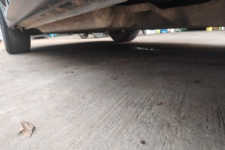 Used Venucia Star 2021 260T Automatic Star Edition Chassis Rear Left