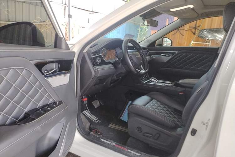 Used Venucia Star 2021 260T Automatic 48V Mild Hybrid Turbocharged Star曜 Edition Driver Seat