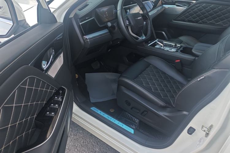 Used Venucia Star 2021 260T Automatic 48V Mild Hybrid Turbocharged Star曜 Edition Driver Seat