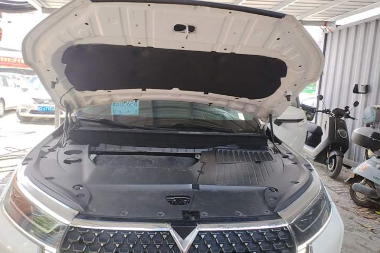 Used Venucia Star 2021 260T Automatic 48V Mild Hybrid Turbocharged Star曜 Edition Engine Bay