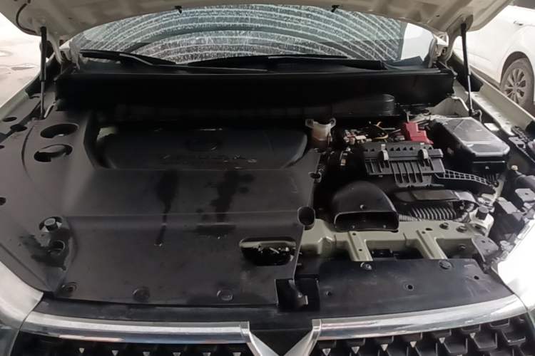 Used Venucia Star 2021 260T Automatic 48V Mild Hybrid Turbocharged Star Achieve Edition Engine Bay