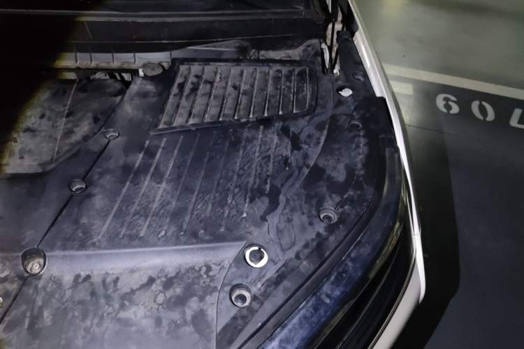 Used Venucia Star 2021 260T Automatic 48V Mild Hybrid Turbocharged Star Achieve Edition Engine Bay Left