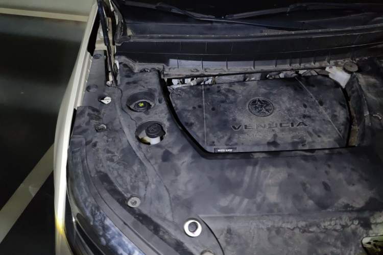 Used Venucia Star 2021 260T Automatic 48V Mild Hybrid Turbocharged Star Achieve Edition Engine Bay Right