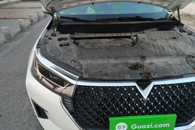 Used Venucia Star 2021 260T Automatic 48V Mild Hybrid Turbocharged Star Achieve Edition Engine Bay Right