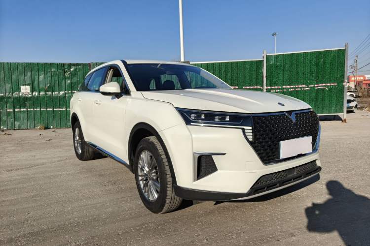 Used Venucia Star 2021 260T Automatic Star Edition Exterior 1