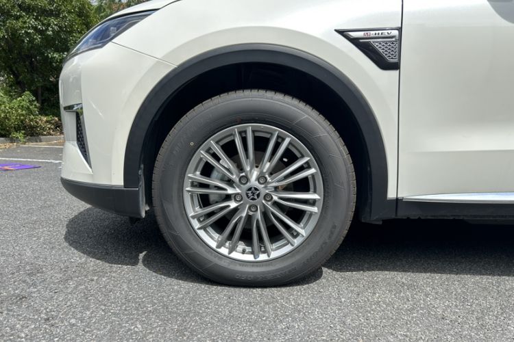 Used Venucia Star 2021 260T Automatic 48V Mild Hybrid Turbocharged Star Achieve Edition Exterior 4