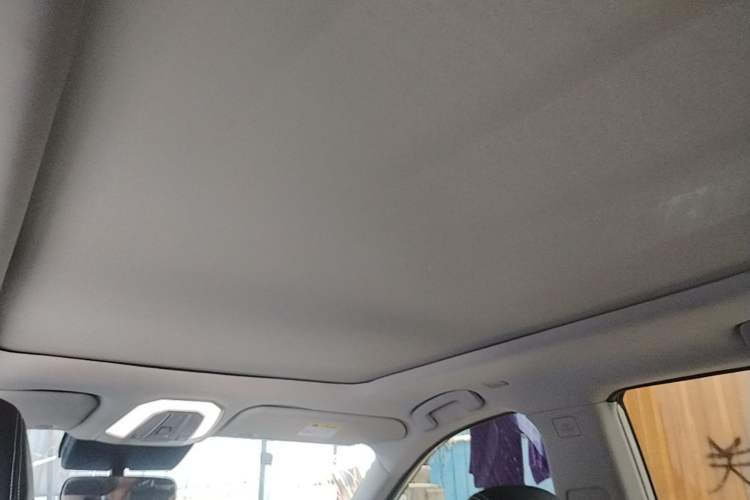 Used Venucia Star 2021 260T Automatic 48V Mild Hybrid Turbocharged Star曜 Edition Headliner