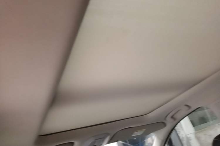 Used Venucia Star 2021 260T Automatic 48V Mild Hybrid Turbocharged Star Achieve Edition Headliner
