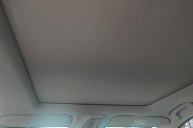 Used Venucia Star 2021 260T Automatic 48V Mild Hybrid Turbocharged Star曜 Edition Headliner