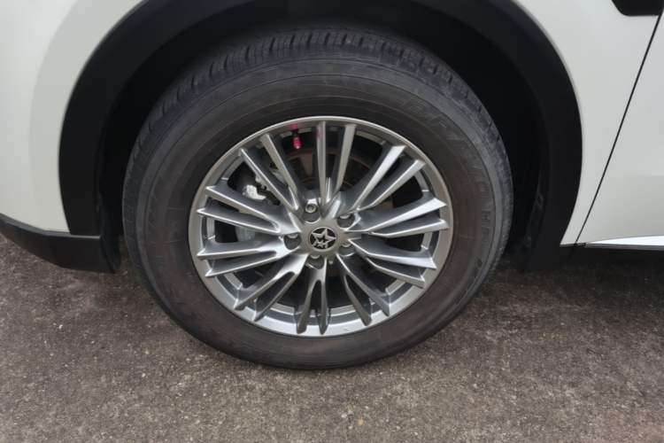Used Venucia Star 2021 260T Automatic 48V Mild Hybrid Turbocharged Star Achieve Edition Left Front Wheel Hub