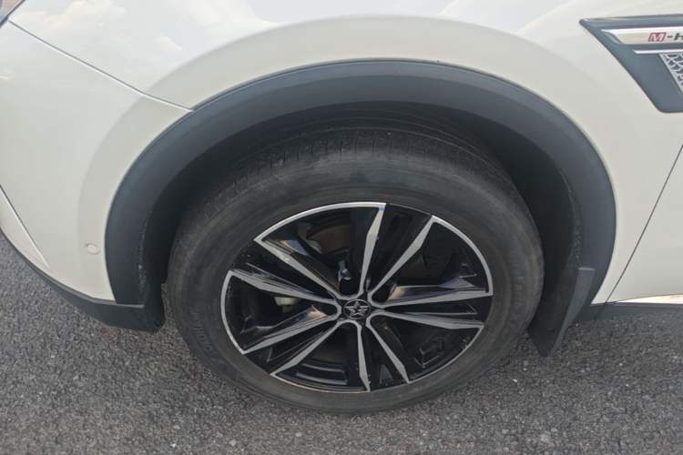 Used Venucia Star 2021 260T Automatic 48V Mild Hybrid Turbocharged Star曜 Edition Left Front Wheel Hub