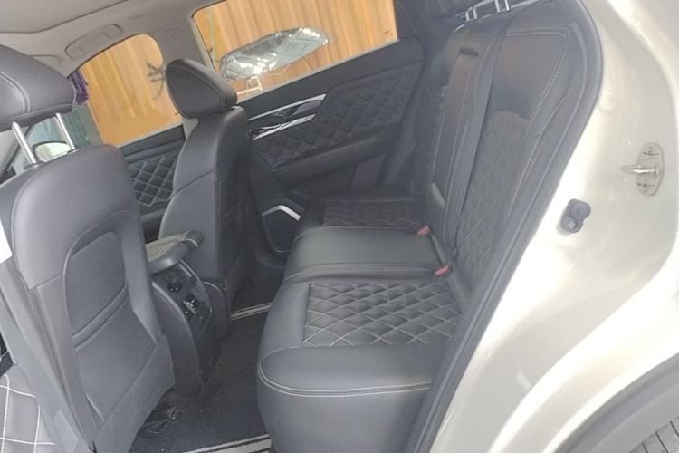 Used Venucia Star 2021 260T Automatic 48V Mild Hybrid Turbocharged Star曜 Edition Left Rear Seat