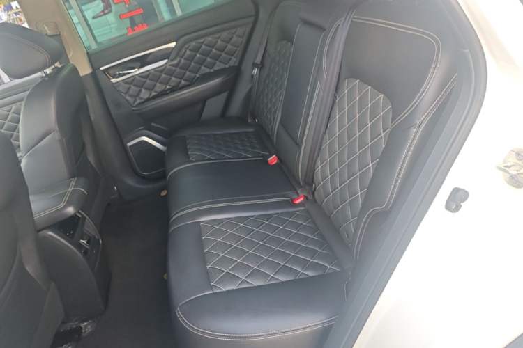 Used Venucia Star 2021 260T Automatic 48V Mild Hybrid Turbocharged Star曜 Edition Left Rear Seat