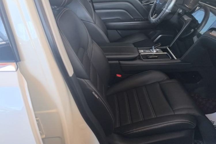 Used Venucia Star 2021 260T Automatic 48V Mild Hybrid Turbocharged Star Achieve Edition Right Front Seat
