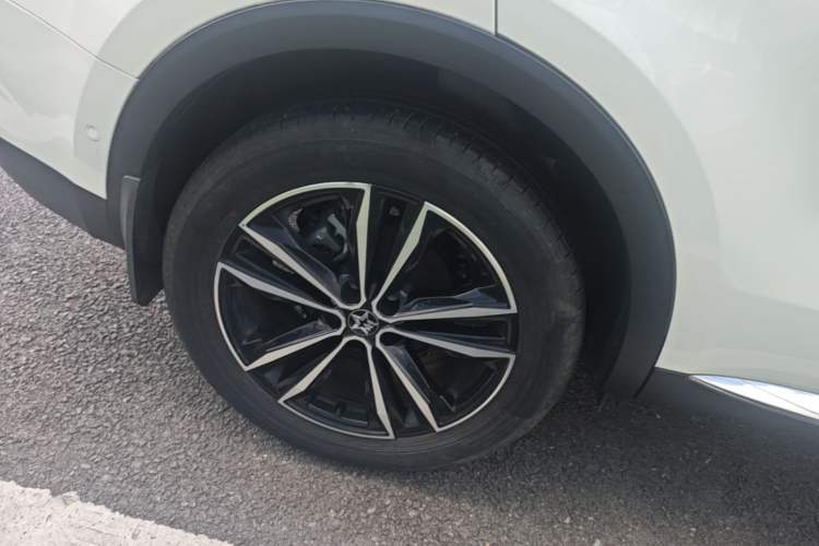 Used Venucia Star 2021 260T Automatic 48V Mild Hybrid Turbocharged Star曜 Edition Right Rear Wheel Hub