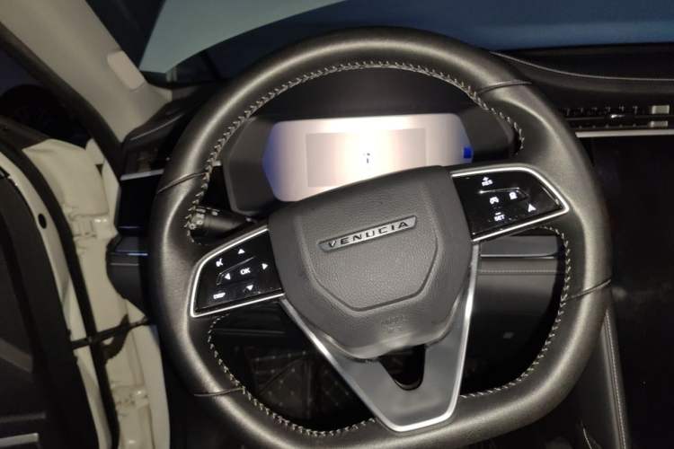 Used Venucia Star 2021 260T Automatic 48V Mild Hybrid Turbocharged Star Achieve Edition Steering Wheel