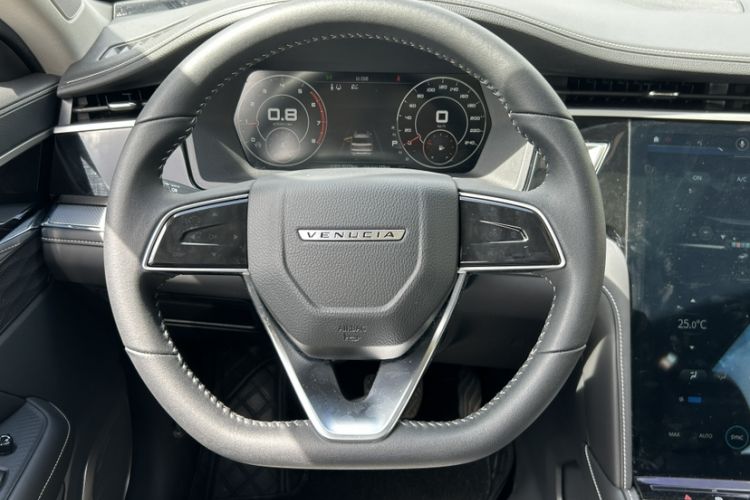 Used Venucia Star 2021 260T Automatic 48V Mild Hybrid Turbocharged Star Achieve Edition Steering Wheel