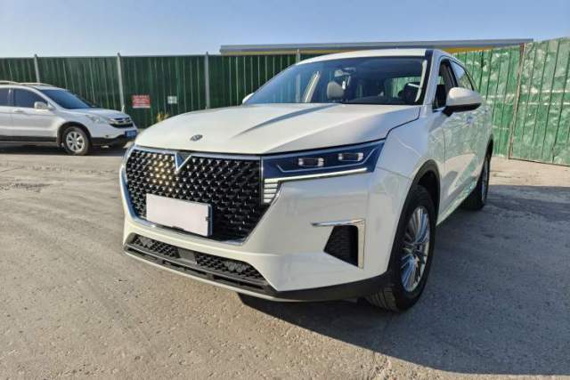 Used Venucia Star 2021 260T Automatic Star Edition