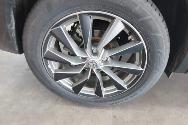 Used Venucia Star 2023 260T Starful Achievement Edition Pro Exterior 5