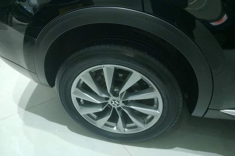Used Venucia Star 2023 260T Starful Achievement Edition Pro Exterior 8