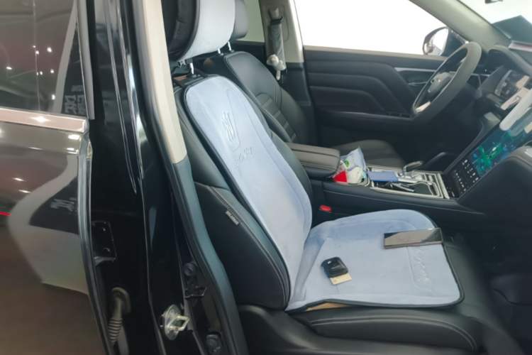 Used Venucia Star 2023 260T Starful Achievement Edition Pro Right Front Seat