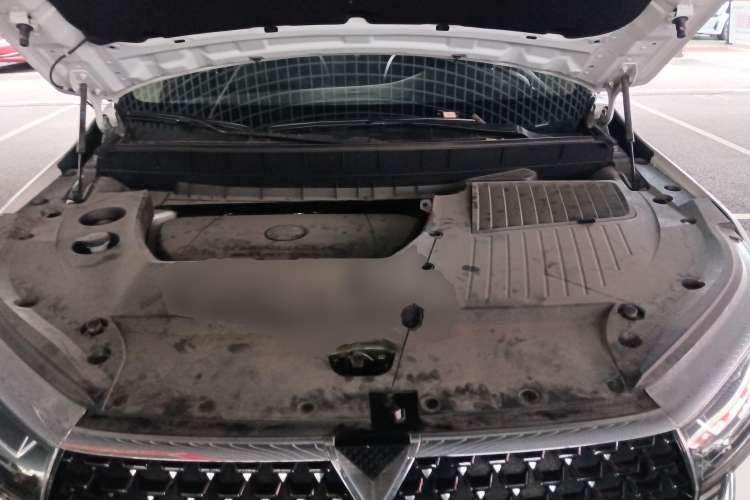 Used Venucia Star 2023 260T Starful Achievement Edition Pro Engine Bay