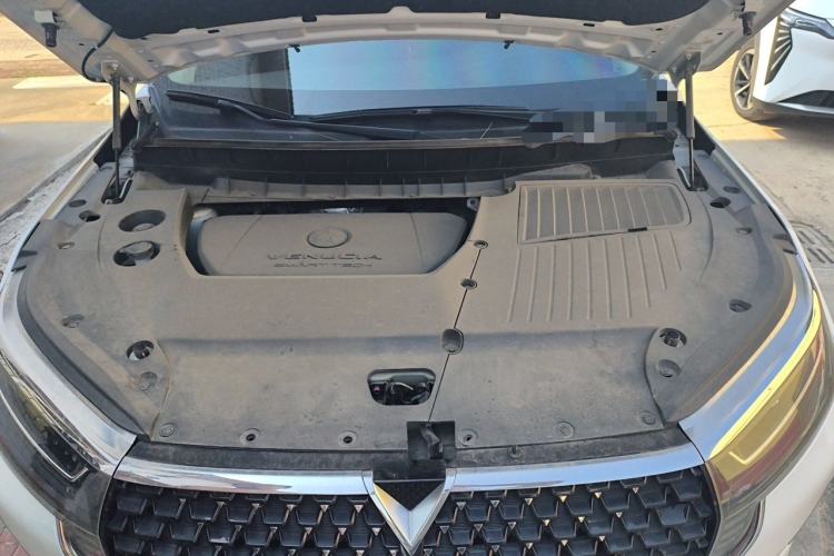 Used Venucia Star 2023 260T Starful Achievement Edition Pro Engine Bay