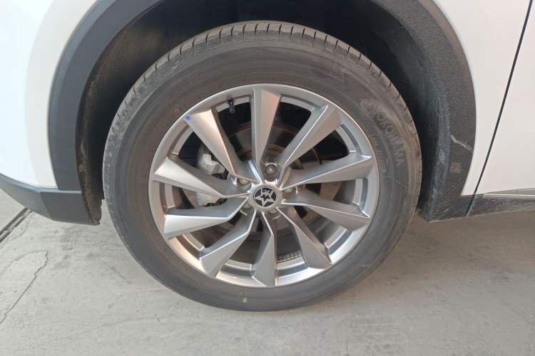 Used Venucia Star 2023 260T Starful Achievement Edition Pro Exterior 4