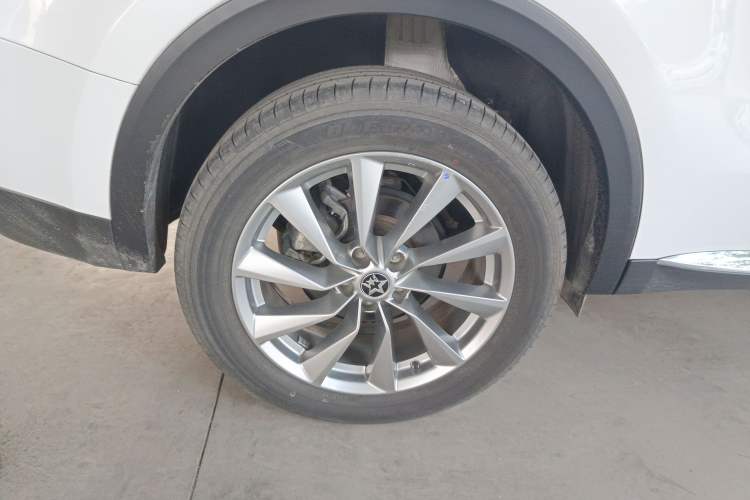 Used Venucia Star 2023 260T Starful Achievement Edition Pro Exterior 5