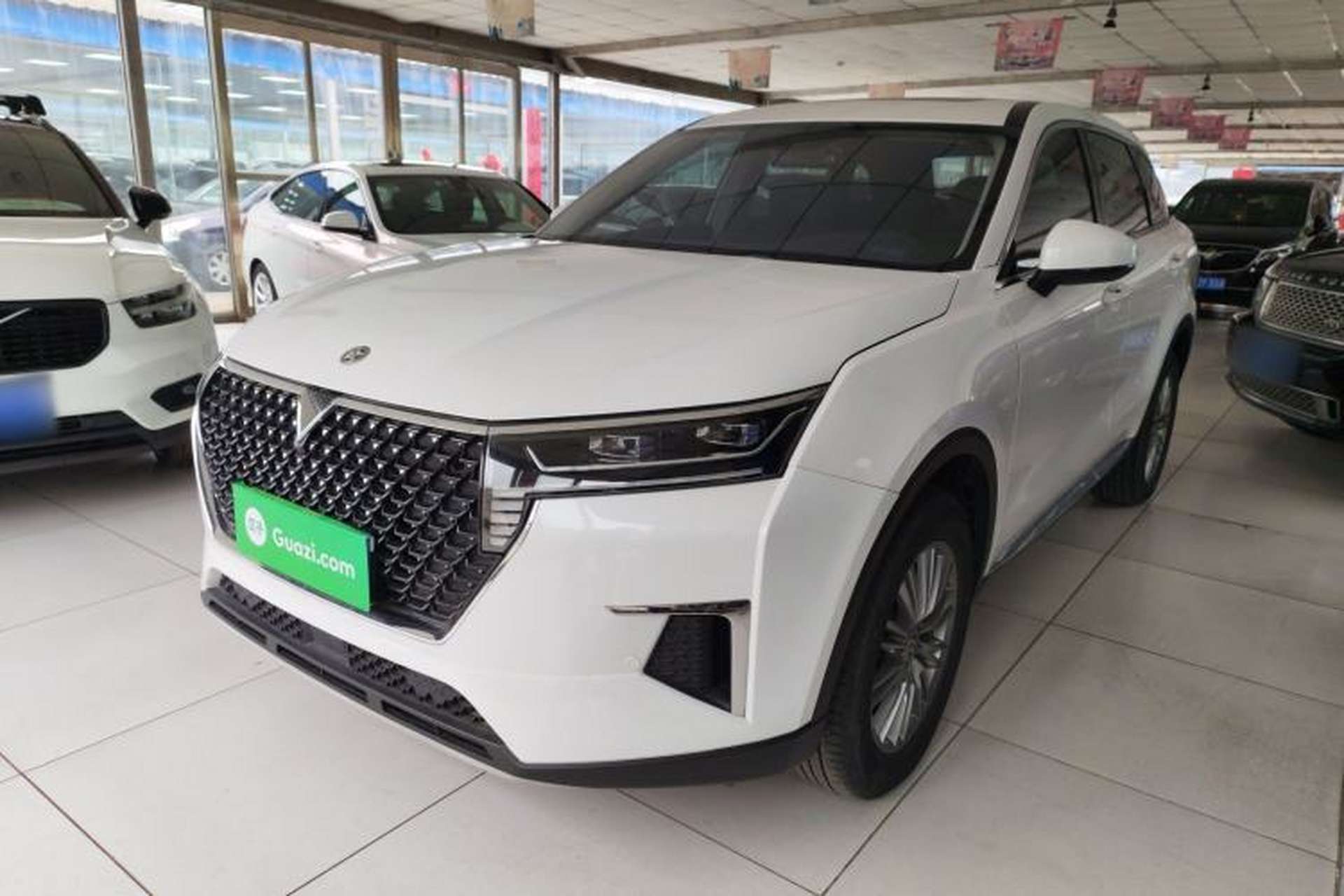 Used Venucia Star 2023 260T XingShang Pro Edition Front Left 45 Deg