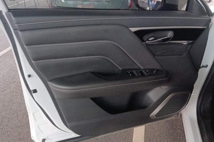 Used Venucia Star 2023 260T Starful Achievement Edition Pro Left Front Door Interior