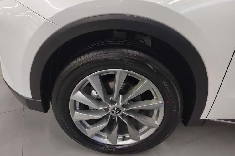 Used Venucia Star 2023 260T Starful Achievement Edition Pro Left Front Wheel Hub