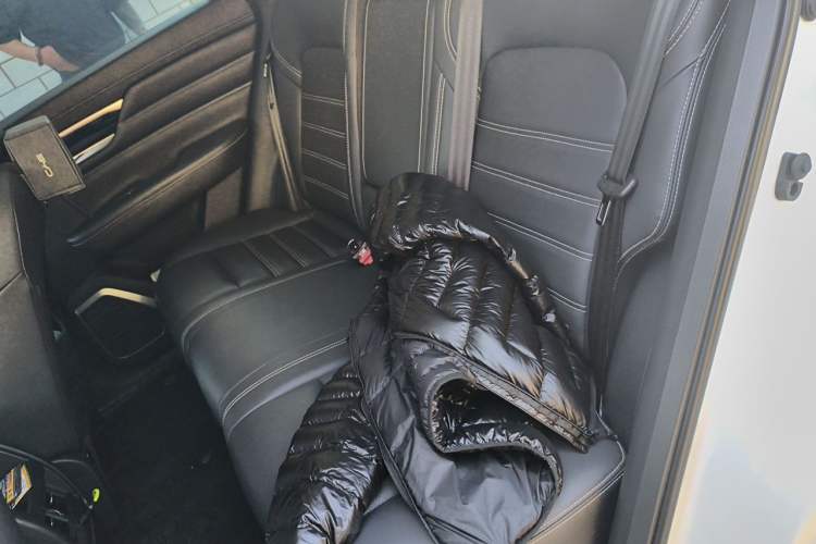 Used Venucia Star 2023 260T Starful Achievement Edition Pro Left Rear Seat