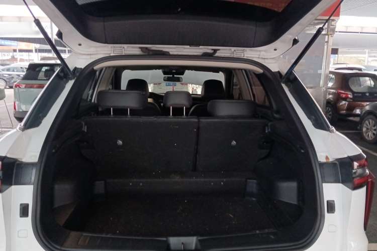 Used Venucia Star 2023 260T Starful Achievement Edition Pro Trunk